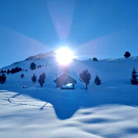 شقة Haus Alpenblick سي المظهر الخارجي الصورة